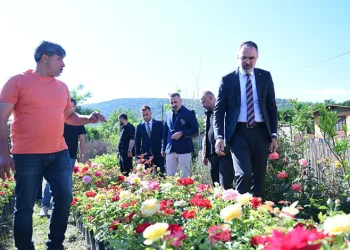 Süs Bitkileri Üretimi Kestel Belediyesi ile Dünya Pazarına Açılıyor