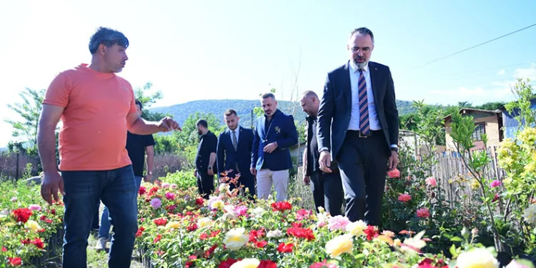 Süs Bitkileri Üretimi Kestel Belediyesi ile Dünya Pazarına Açılıyor