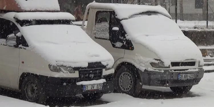 Ahlat’ta mart karı sürprizi: 11 köy yolu ulaşıma kapandı