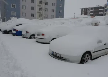 Bitlis’te mart karı 288 köy yolu ulaşıma kapattı