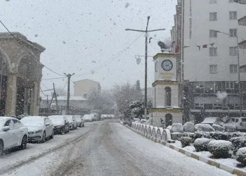 Mazıdağı’nda mart ayında kar yağışı etkili oldu