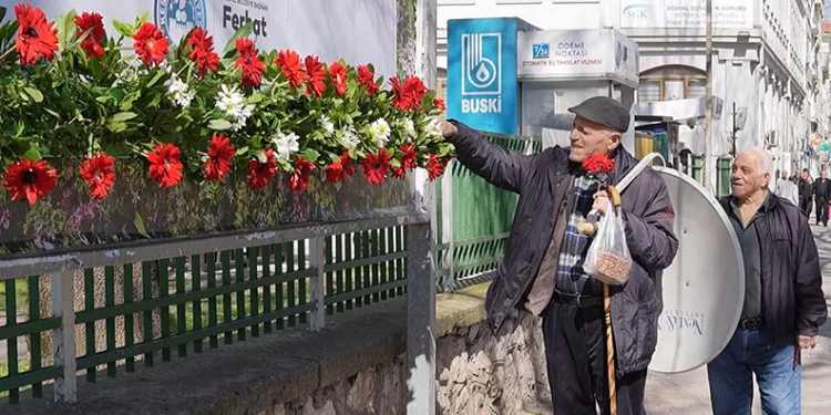 8 Mart’ta Kestel çiçek açtı