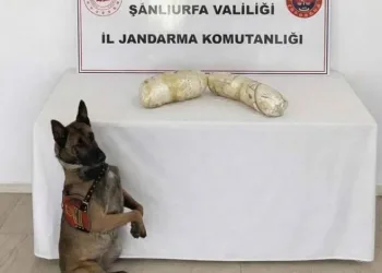 Şanlıurfa’da 2 kilogram uyuşturucu ele geçirildi: 2 gözaltı
