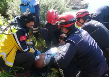 İncir ağacı hayatını kurtardı