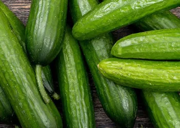 İstanbul’da Şubat ayında en çok salatalık pahalandı