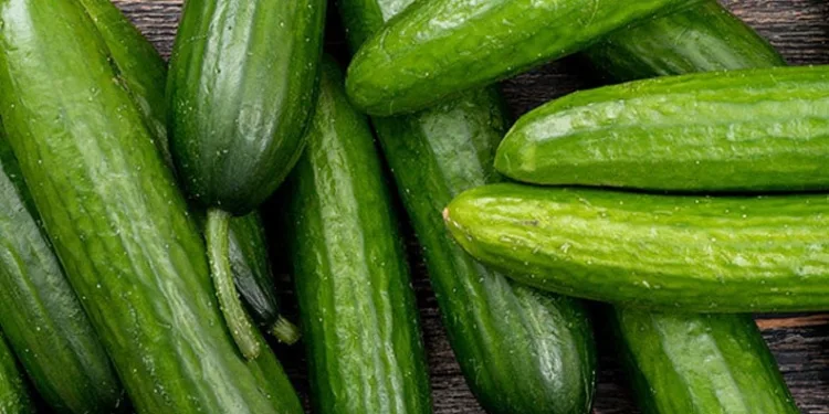 İstanbul’da Şubat ayında en çok salatalık pahalandı