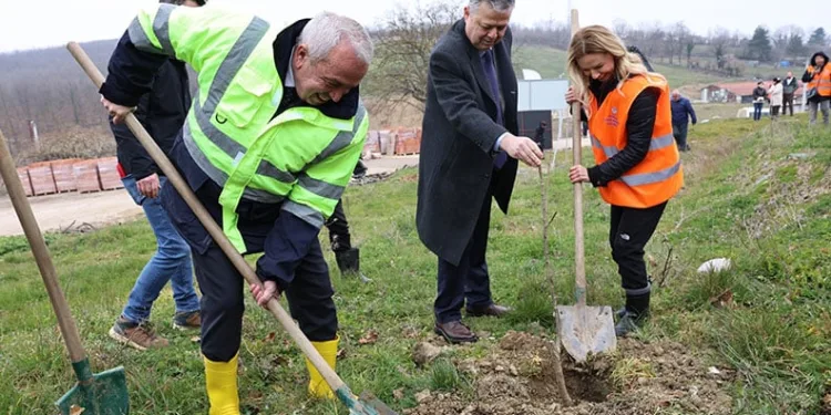 Unçukuru Mahallesi’nde atıl arazi Umut Ormanı’na dönüşüyor