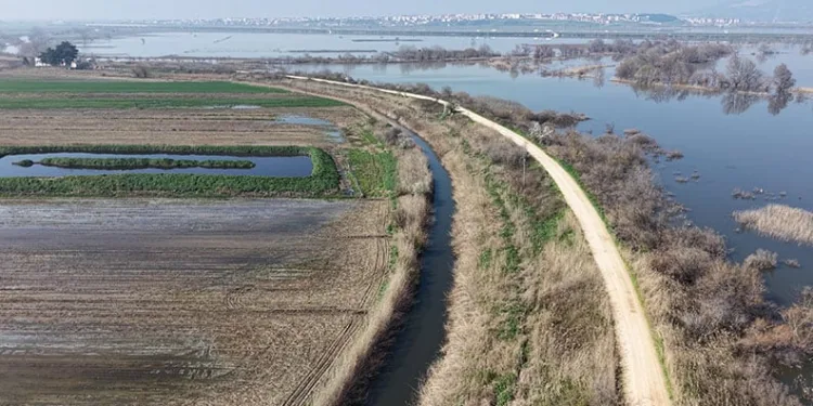 Karacabey çiftçisi suların çekilmesini bekliyor