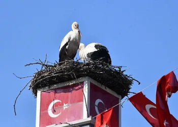 Can ve Canan Leylek Yeniden İznik’te