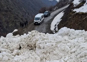 Çatak’ta çığ düştü: 1 mahalle ve 8 mezraya ulaşımı sağlanamıyor