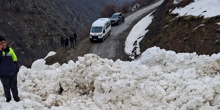 Çatak’ta çığ düştü: 1 mahalle ve 8 mezraya ulaşımı sağlanamıyor