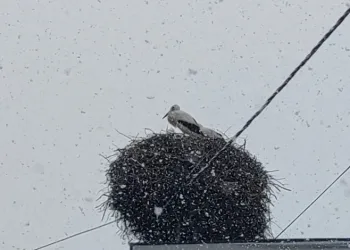 Artvin’de heyelan anı cep telefonuyla görüntülendi