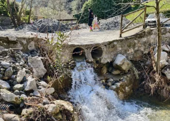 Mesir Tabiat Parkı’na ziyaretçi akını