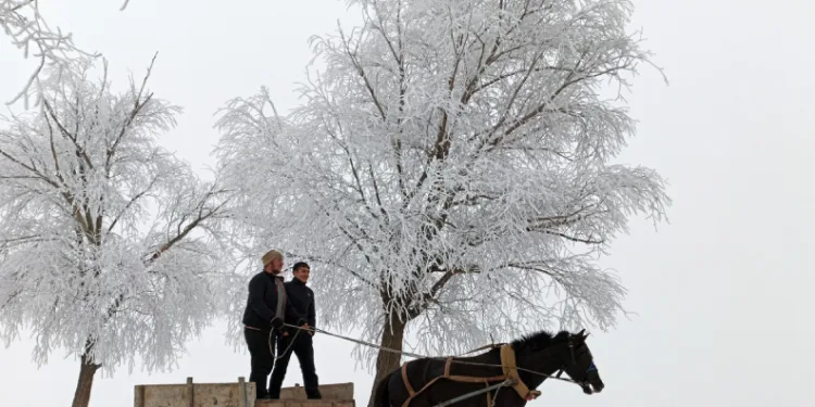 Türkiye’de en düşük sıcaklık eksi 20 dereceyle Bayburt’ta ölçüldü