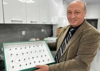 Böcekler cinayetlerin sırrını çözüyor