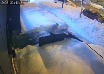 Çatıdan düşen kar kütlesi az daha can alıyordu