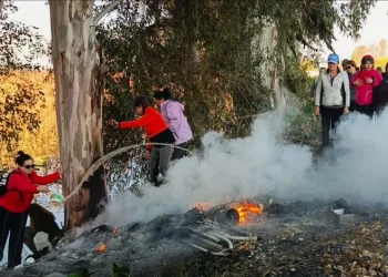 Doğaseverler kanal kenarında çıkan yangını söndürdü
