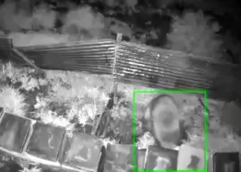 Kış uykusundan kalkan ayı, kovanlara saldırdı