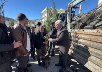 Çermik’te çiftçilere 10 bin adet fidan