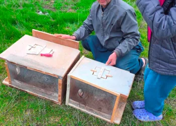 Mersin’de zamansız zirai ilaçlama arıların ölümüne sebep oldu