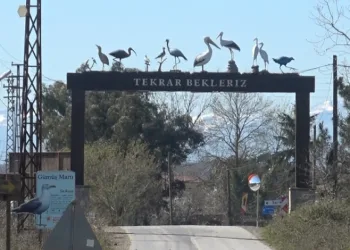 Leylekler baharın müjdesiyle geri döndü