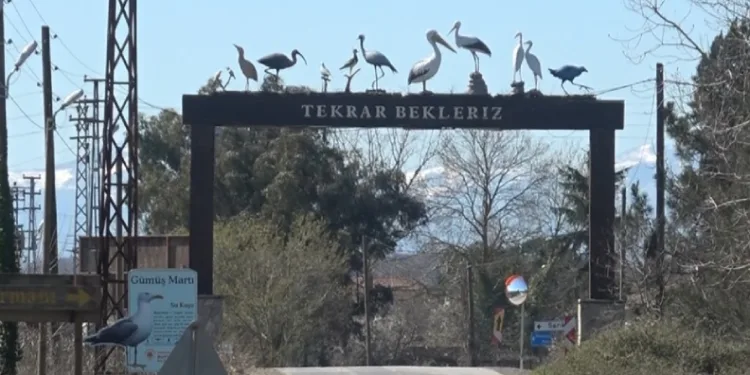 Leylekler baharın müjdesiyle geri döndü