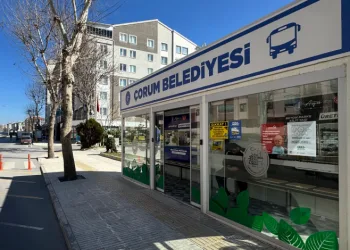 Antalya’dan orman yangınlarına karşı yeni model: Riskli alan ve döneme özel “acil kod” sistemi