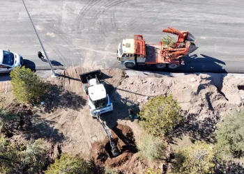 Büyükşehir’den doğaya duyarlı çalışma: Kartal Kavşağı Projesi öncesi ağaçlar taşınıyor