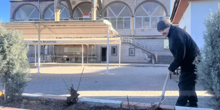 Gönüllü olarak cami önündeki çiçeklerin bakımını yapıyor