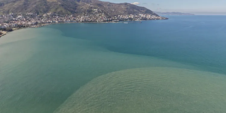 Ordu’da eriyen kar suları denizin rengini değiştirdi