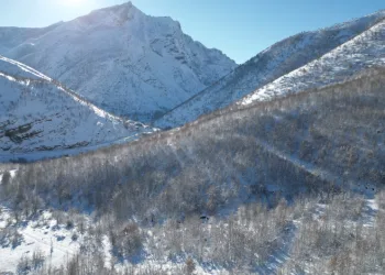 Şırnak’ta kar sonrası dağlar beyaza büründü
