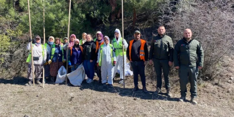 Sinop ormanlarında zararlılara karşı biyolojik savaş