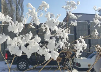 Mart ayında dondurucu soğuklar