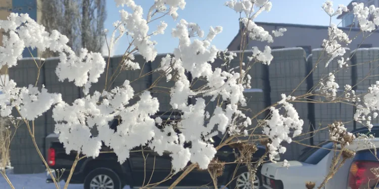 Mart ayında dondurucu soğuklar