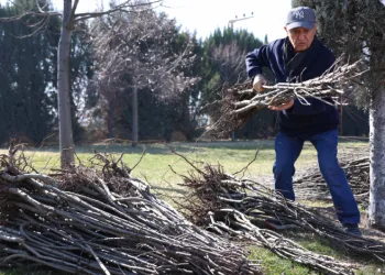 Başkan Altay: “23 bin 500 adet fidanı çiftçimize ulaştıracağız”