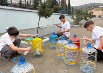 Yemek artıkları sokak hayvanları için mamaya dönüşüyor