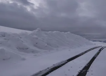 Kar yağışı Aşkale’de yeniden etkili oluyor