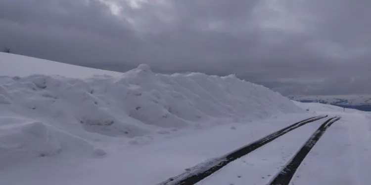 Kar yağışı Aşkale’de yeniden etkili oluyor