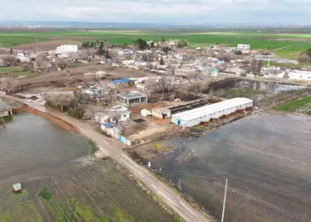 Şanlıurfa’da şiddetli yağışlar tarlaları göle çevirdi